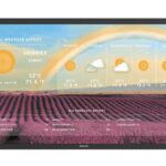 PPDS Launches New ‘Sized-up’ 32” Philips Tableaux ePaper Display